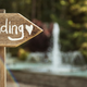 Image for article titled Ambush Weddings Are the New Weddings